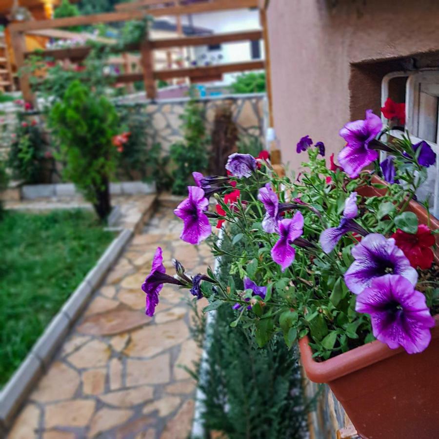 Apartment Little Paradise Visoko Exterior photo